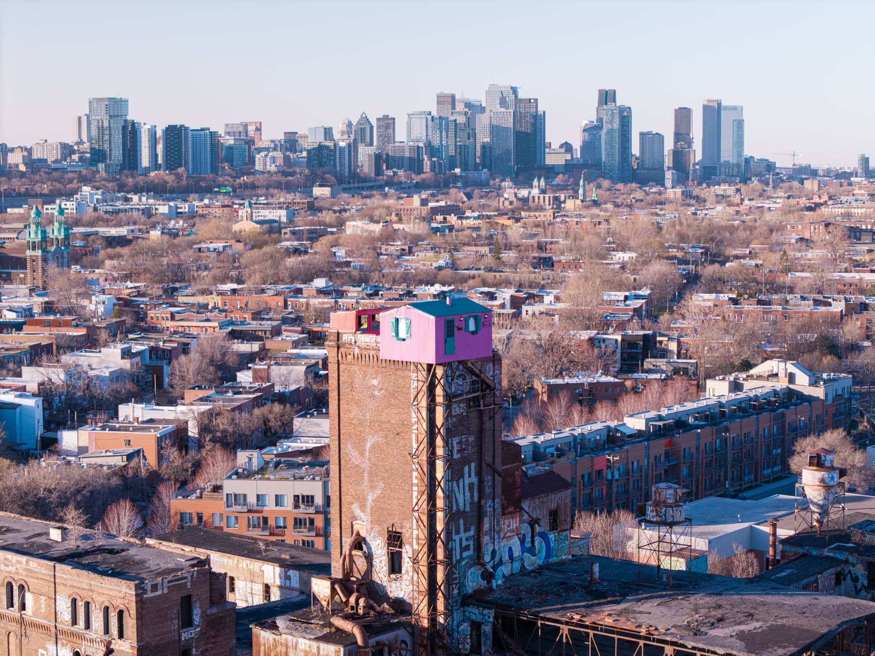 Beehive on an urban rooftop with a city skyline behind it