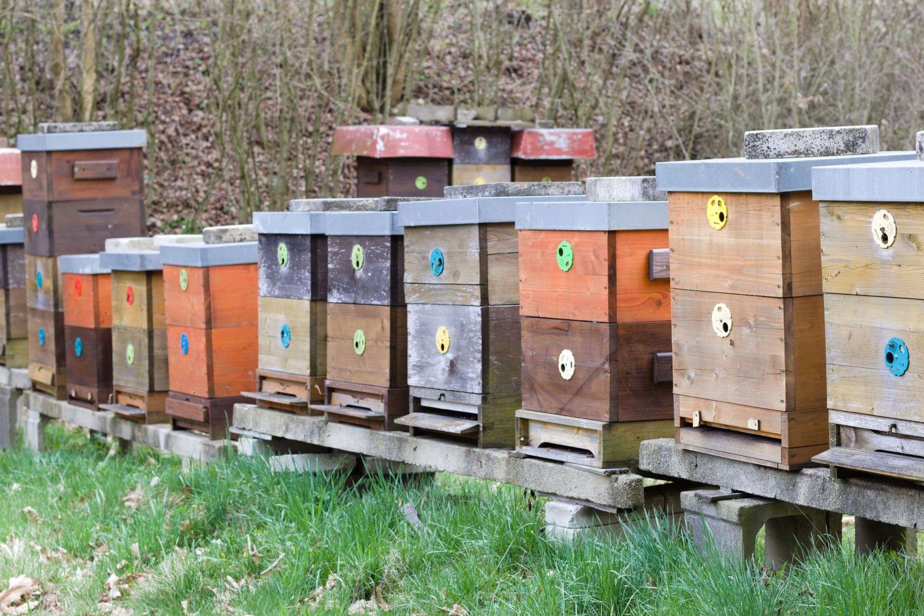 Stacked empty beehive supers stored on shelves with airflow